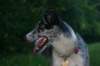 img_3255_jpg_small.jpg