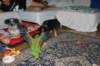img_3385_jpg_small.jpg