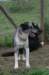 img_3914_jpg_small.jpg