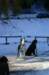 immagine070_jpg_small.jpg