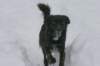 crw_1607_rj_jpg_small.jpg