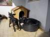 dsc00003_jpg_small.jpg