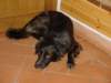 dsc00017_jpg_small.jpg