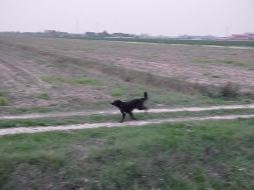 dsc00019_jpg.jpg
