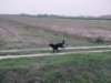 dsc00019_jpg_small.jpg