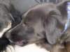 dsc00030_jpg_small.jpg