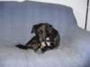 dsc00032_jpg_small.jpg