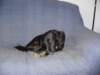 dsc00033_jpg_small.jpg