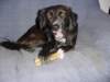 dsc00034_jpg_small.jpg