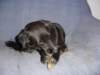 dsc00035_jpg_small.jpg