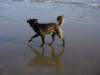 dsc00129_jpg_small.jpg