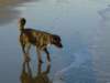 dsc00131_jpg_small.jpg