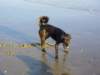 dsc00134_jpg_small.jpg