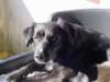 dsc00205_jpg_small.jpg