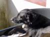 dsc00210_jpg_small.jpg