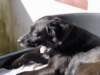 dsc00211_jpg_small.jpg
