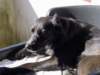dsc00212_jpg_small.jpg