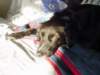 dsc00578_jpg_small.jpg