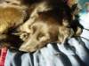 dsc00580_jpg_small.jpg