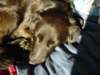 dsc00583_jpg_small.jpg