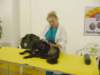 dsc00705_jpg_small.jpg