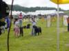 dsc00708_jpg_small.jpg