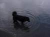 dsc00716_jpg_small.jpg