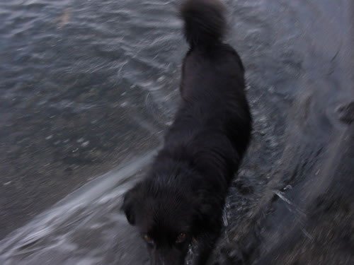 dsc00717_jpg.jpg