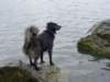 dsc00742_jpg_small.jpg