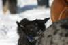 img_1210_jpg_small.jpg