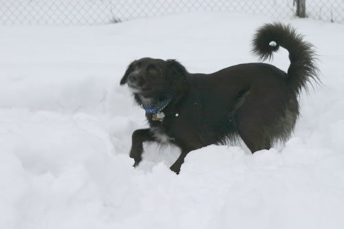 img_1559_jpg.jpg