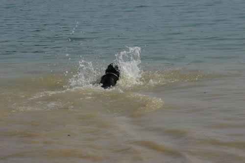 img_2224_jpg.jpg