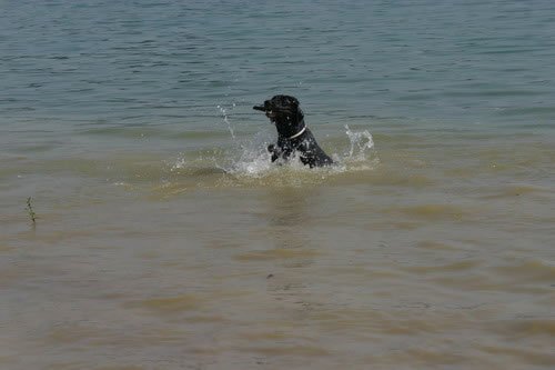 img_2226_jpg.jpg