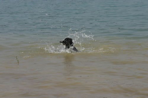 img_2227_jpg.jpg