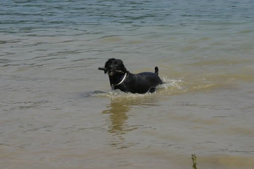 img_2229_jpg.jpg