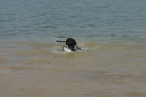 img_2231_jpg.jpg
