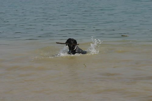 img_2232_jpg.jpg