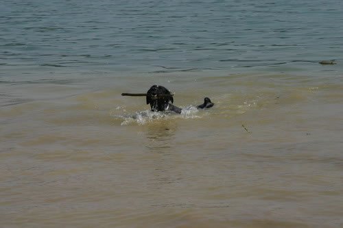 img_2234_jpg.jpg
