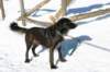 immagine037_jpg_small.jpg