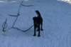 immagine062_jpg_small.jpg