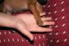 nenni133_jpg_small.jpg