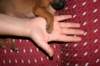 nenni134_jpg_small.jpg