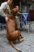 nenni324_jpg_small.jpg