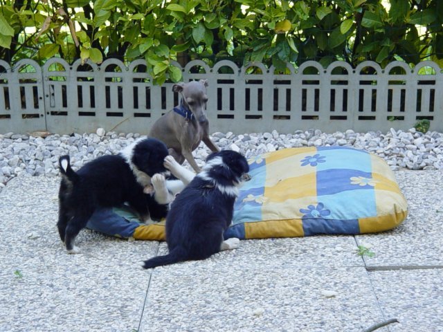 dsc00002.jpg