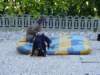dsc00005_small.jpg