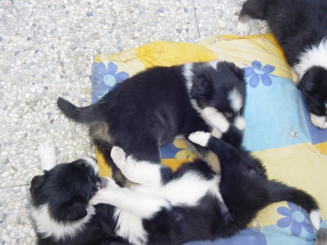 dsc00007.jpg