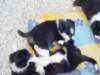 dsc00007_small.jpg
