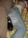 dsc00009_small.jpg