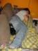 dsc00010_small.jpg