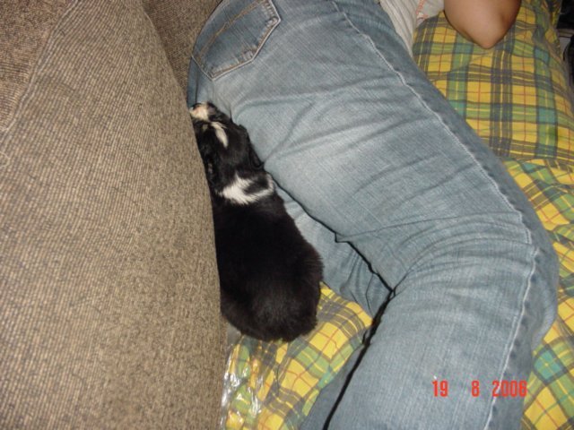 dsc00012.jpg